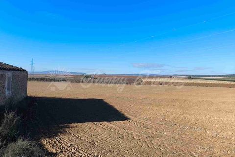 Ruinere i Yecla, Murcia, Yecla - € 28.000 | Ref: SF0551 - foto 15